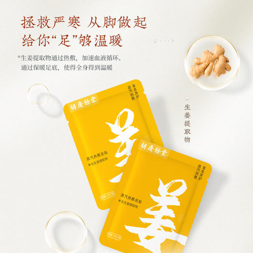 胡庆余堂 蒸汽足贴 商品图0