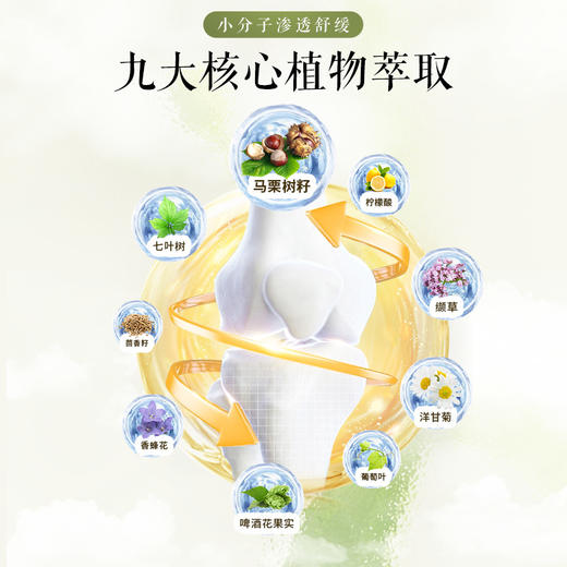 七叶庄园马栗按摩凝胶 商品图2