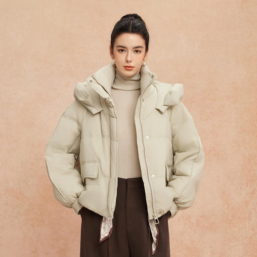 QR011斯尔丽25新款冬季连帽短款休闲宽松加厚90绒时尚减龄小个子羽绒服 商品图0
