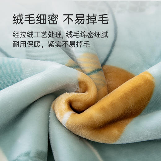 2025年新款雅芳婷双层加厚保暖舒柔毛毯办公室午睡毯家用沙发毯子 商品图3