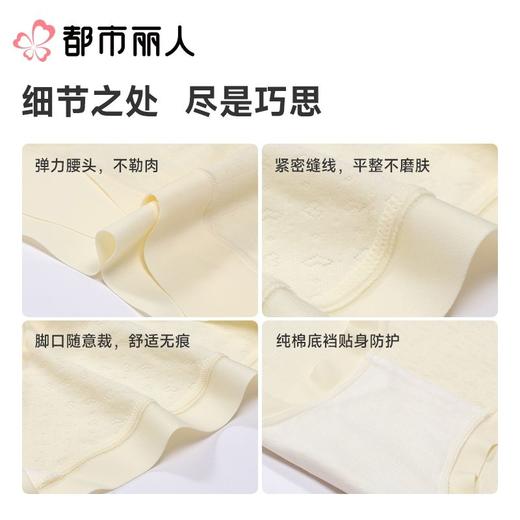 都市丽人女士内裤棉提花平角裤孕妇裤系列LKC701 商品图3