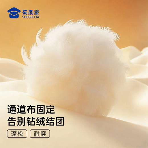 【可机洗鹅绒保暖长袖T恤】加绒打底卫衣T恤休闲通勤套头衫TT512 商品图4