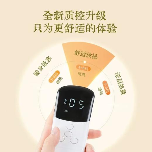 （山姆同款、全新升级款）真不二灵芝南沙参热敷艾灸坐垫（无烟熏灸、逐湿驱寒） 商品图4