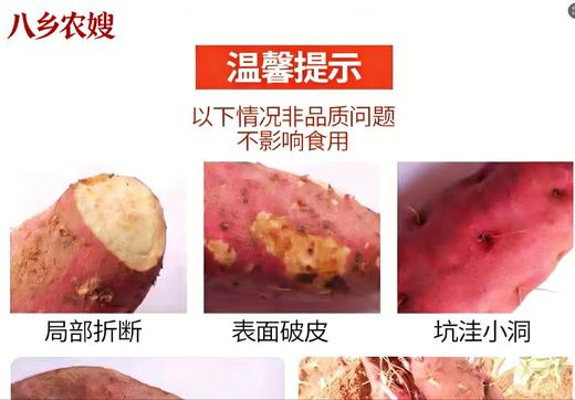 八乡瑰宝·西瓜红蜜薯-榴莲香薯 商品图12
