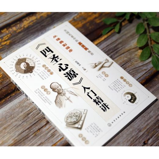 《四圣心源》入门精讲 商品图2