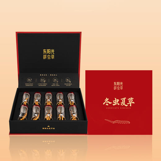 东阳光.冻干鲜虫草10克礼盒装【首发】 商品图1