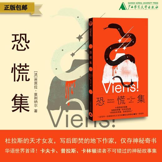 恐慌集  （法）芭芭拉·莫利纳尔/著  郁梦非/译 北贝 文学 法国 短篇小说 女性写作 超现实主义 存在主义 杜拉斯 卡夫卡 贝克特 先锋实验 精神分析 焦虑 孤独 荒诞 暗黑美学 商品图0