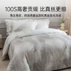2025年新款雅芳婷100S摩登丝六件套轻奢天丝被套床笠床单丝滑套件 商品缩略图4