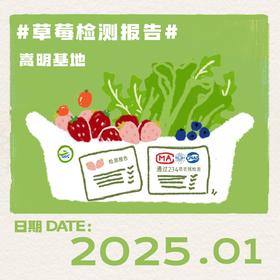 2025年1月-草莓检测报告(嵩明)