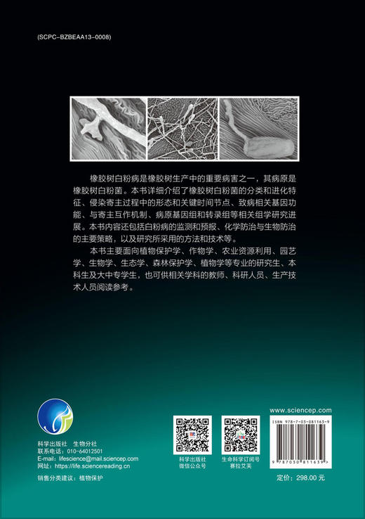 橡胶树白粉菌 商品图1