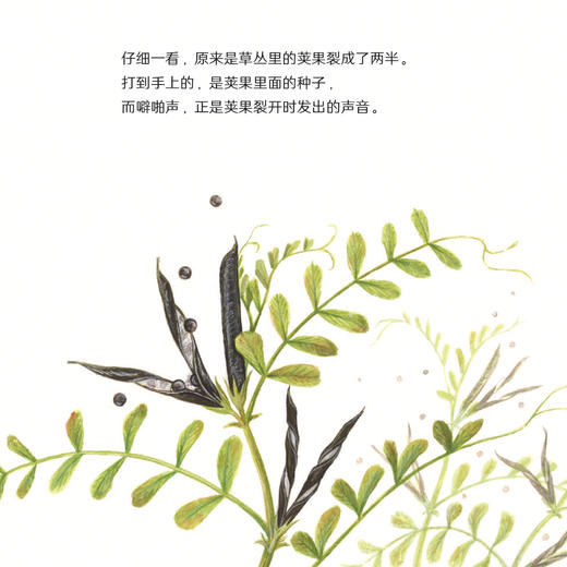 《科学之友经典图画书·生活真好玩》 （全6册） 商品图8