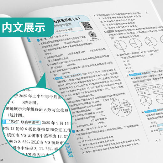 2026春 【苏教版】 实验班提优大考卷 六年级数学(下) 商品图4