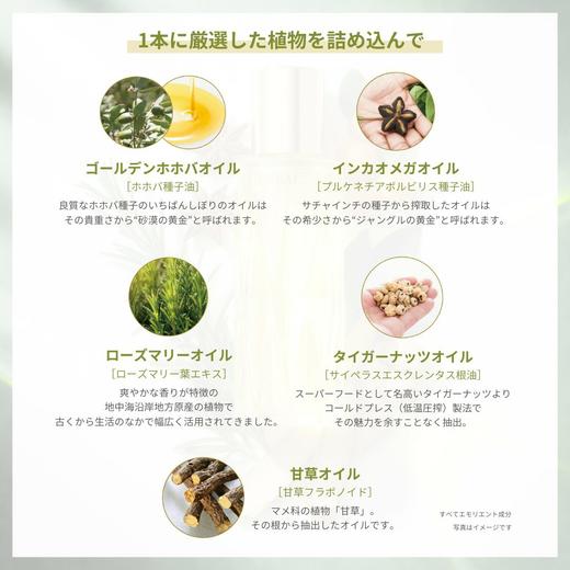 「人气品」日本代买服务 · ALBION澳尔滨 黄金油保湿面部精华油 40ml｜日本拼邮 商品图1