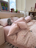 100%全棉四件套四季通用 商品缩略图3