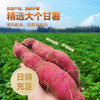 广大园红瑶蜜薯干【首发】 商品缩略图3