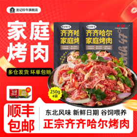 齐齐哈尔-传统烤肉-250g*4包