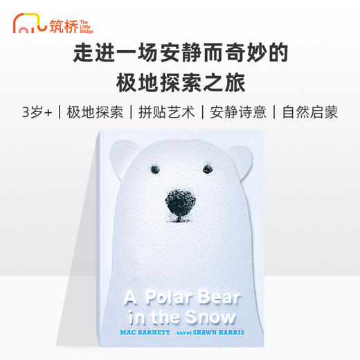 A Polar Bear in the Snow 雪地里的北极熊 精装原版引进 商品图0