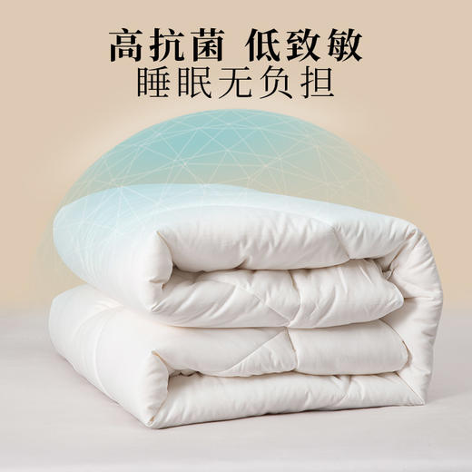 多喜爱 芯柔锁温大豆蛋白春秋被/冬被/拉链子母被【A类抗菌面料】【大豆蛋白】【四季通用】 商品图0