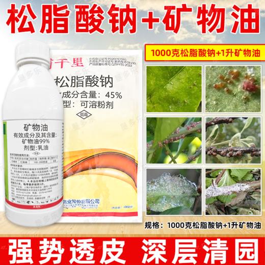 矿物油松脂酸钠套餐果树清园剂柑橘树介壳虫红蜘蛛专用清园剂农用 商品图4