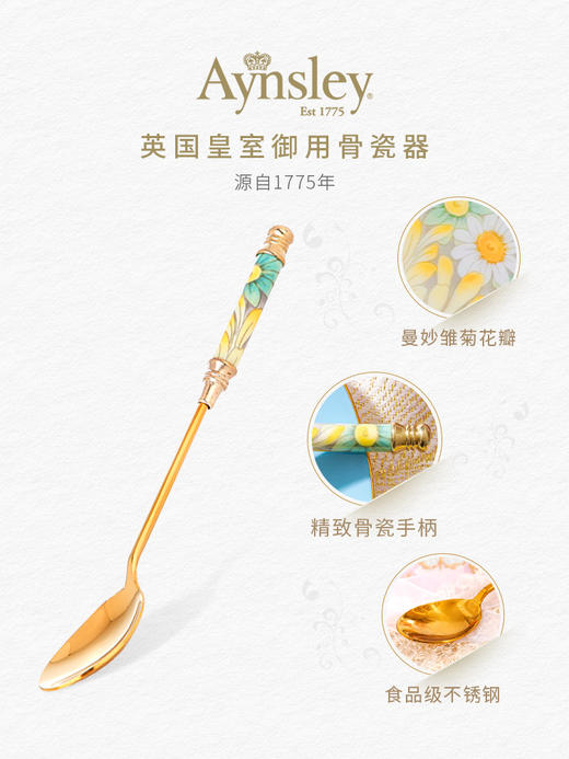 英国 Aynsley安斯丽 雏菊系列甜品勺 商品图2