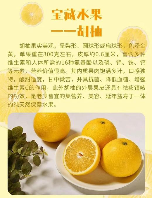 常山胡柚9.8元1袋4.9-5.1斤，明天到 商品图4