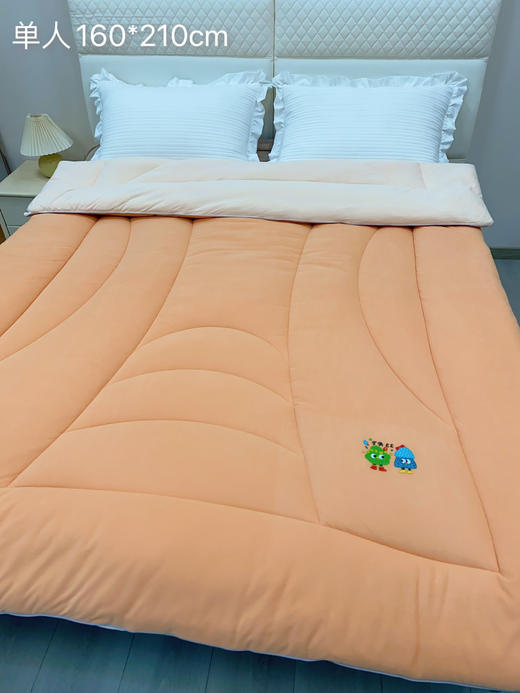 松植屋糖果单人抱抱被 A类大豆冬被子学生宿舍冬季被芯大豆纤维亲肤透气 商品图9