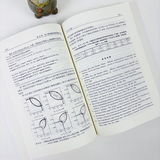 守恒律方程的数值方法：从分析到算法 商品图5