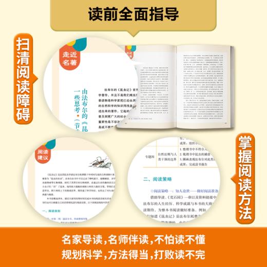 名著阅读课程化丛书(升级版)昆虫记 商品图1