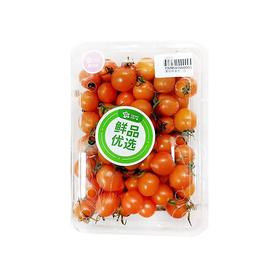 黄珍珠番茄（份）约400g