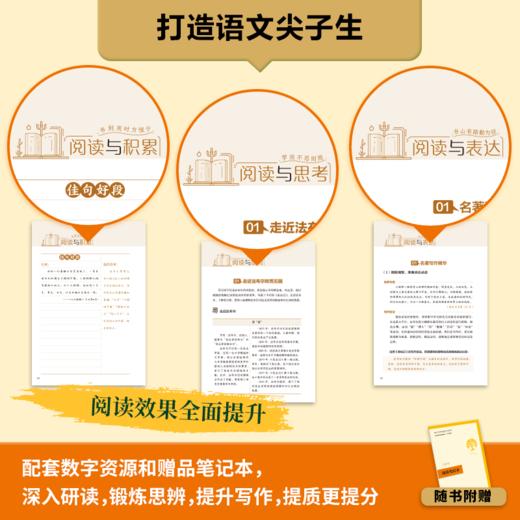 名著阅读课程化丛书(升级版)昆虫记 商品图4