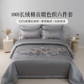 雅芳婷100S新疆长绒棉床上六件套高级感贡缎色织被套床笠床单套件