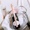 夏桐（Chandon）Rose桃红起泡酒传统工艺天然高泡葡萄酒粉红750ml 商品缩略图2