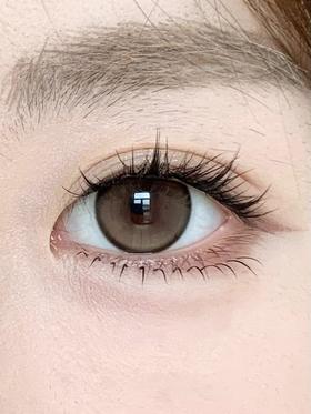 BarieCat日抛美瞳 蜜糖星褐 14.5mm