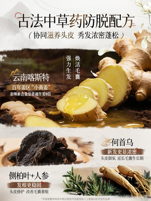 专属【防脱类国妆特字认证】儒意·防脱固根洗发水 8倍高活性小黄姜精华 激活毛囊 强健发根 72小时控油蓬松 去屑止痒 500ml/瓶 商品图2