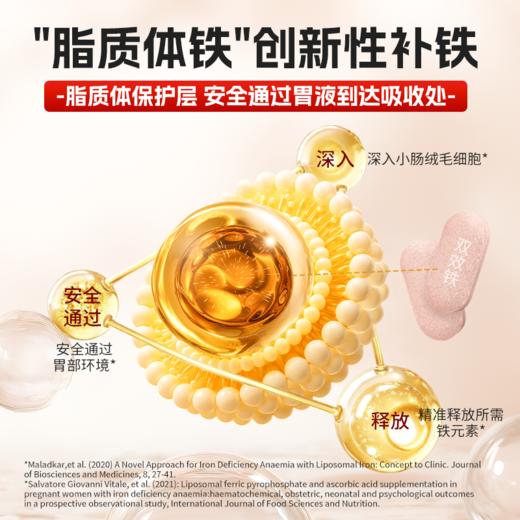 医维他原雪宝孕妇补铁叶酸片（孕妇营养补充食品） 商品图1