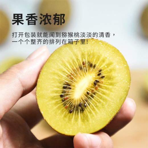 【黄心猕猴桃】细腻软糯一口爆汁维C小炸弹12枚/24枚 商品图3