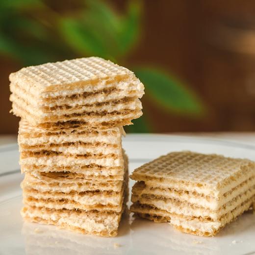 食趣兽乳清蛋白威化饼干|5层香脆威化+4层浓醇夹心，添加益生元，酸甜柠檬味 商品图0