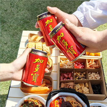 加多宝 凉茶植物饮料310ml*12罐 年货礼盒 商品图2