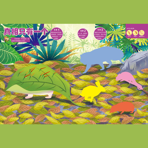 《环球少年地理》 幼儿版2026年12期，每期配套《动物总动员》游戏书，共24本 商品图12