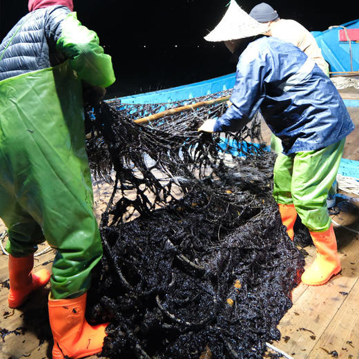 深海头水紫菜 商品图4