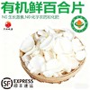 兰州百合【首发】 商品缩略图0