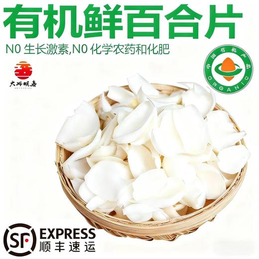 兰州百合【首发】 商品图0