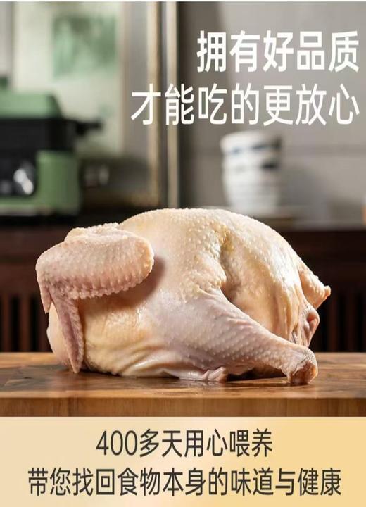 农科特产富硒老母鸡1.2kg(包邮到家) 商品图1