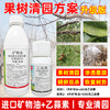 矿物油乙蒜素清园方案套餐柑橘树介壳虫红蜘蛛果树清园剂农用正品 商品缩略图3