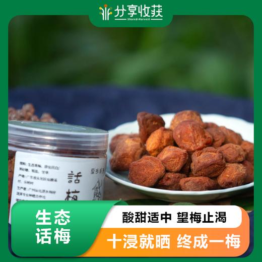 生态话梅 | 酸甜适中 望梅止渴 | 合作生产 * Ecological Plum Blossom 商品图0