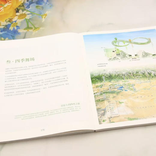 什么是新疆 商品图4