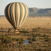 5天4晚【坦桑尼亚塞伦盖蒂四季 | Four Seasons Serengeti】2026全年可用！四季司导专车游猎、每日三餐酒水、丰富儿童活动、内陆段往返机票及VIP接送机，安心深度领略东非草原心脏 商品缩略图12