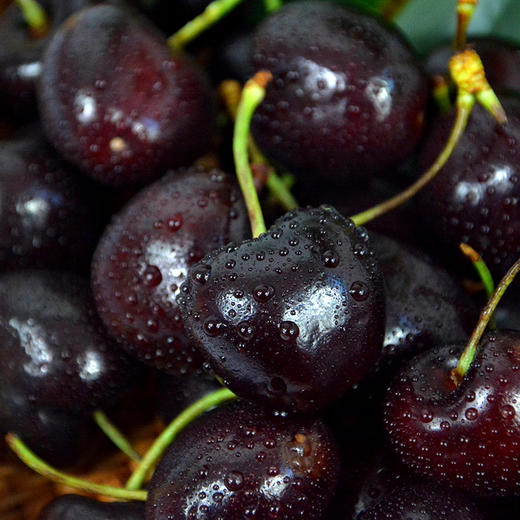 智利车厘子礼盒 顺丰空运 新鲜多汁 商品图1