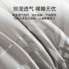 2025年新款雅芳婷100S摩登丝六件套轻奢天丝被套床笠床单丝滑套件 商品缩略图3