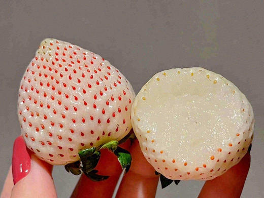 🔅淡雪·白草莓🤩梦幻般的色彩💓白里透粉，一口触动你的味蕾😍饱满的果肉迸发出香甜可口的汁水弥漫口腔，好似初恋般甜蜜🥰🥰 商品图0